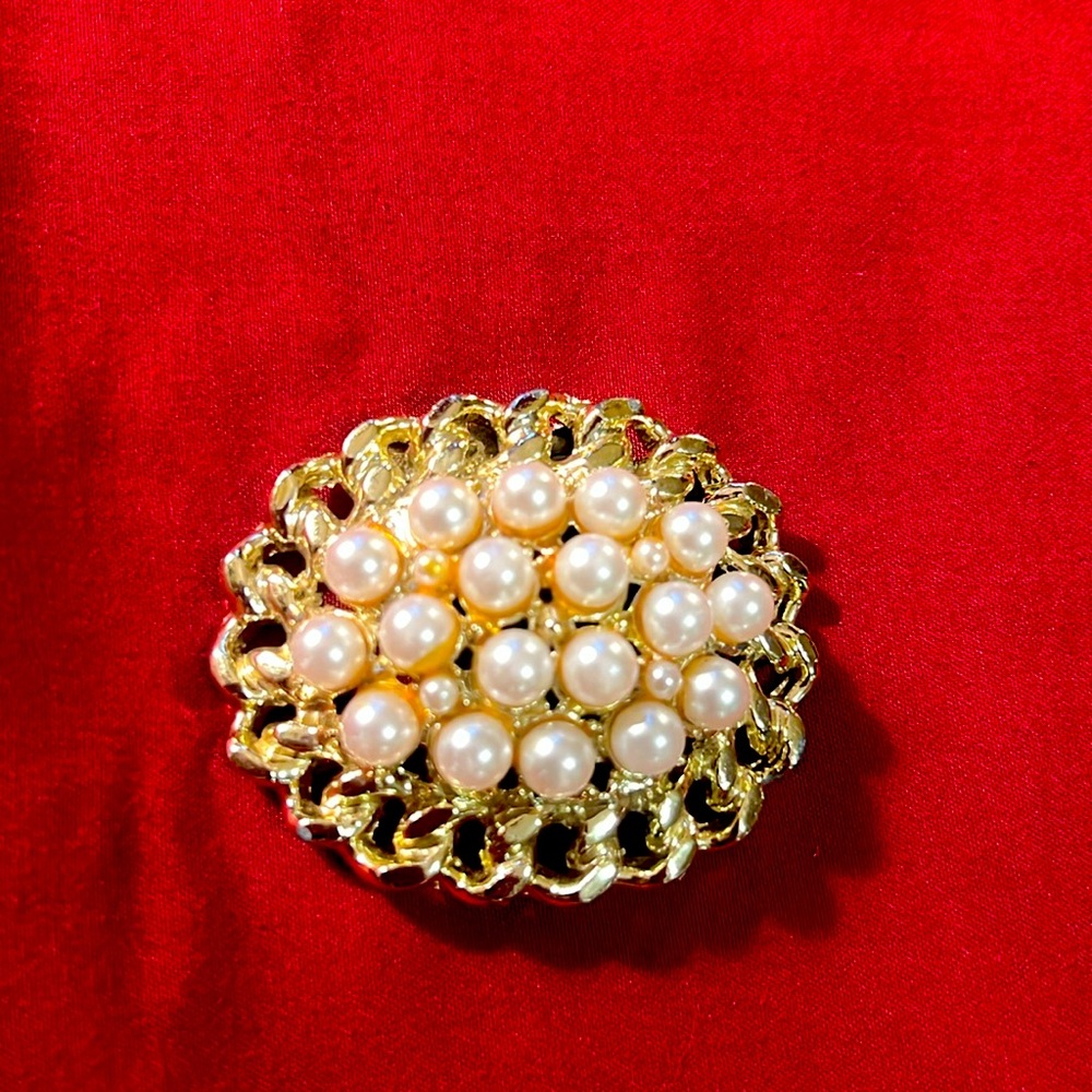 Vintage dress clasp